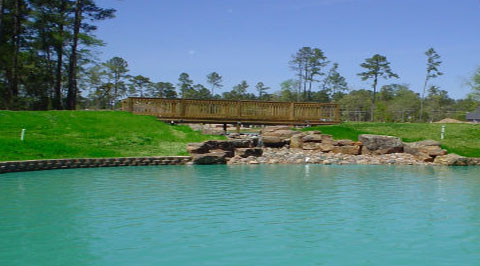 Gallery Picture