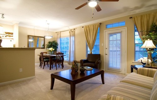 Gallery Picture