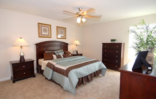 Gallery Picture