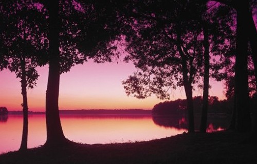 Gallery Picture