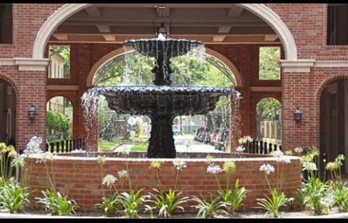 Gallery Picture